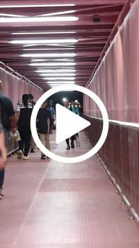 BIB:  <button type="button" onclick="openModal(27418485)" class="btn btn-primary btn-sm float-right" data-toggle="modal" data-target=".modal-high-quality">
                <i class="fa fa-download"></i> Download
                </button>